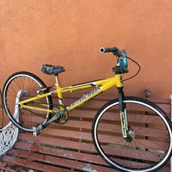 Redline Proline Mini Race Bike 