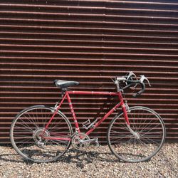 Fuji Bike