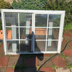 Window 