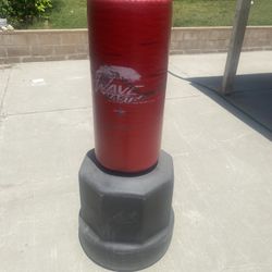 Kicking / Punching Bag
