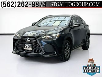 2024 Lexus Nx