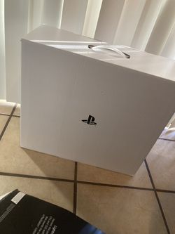 Brand New My Dog Rip Up The Box