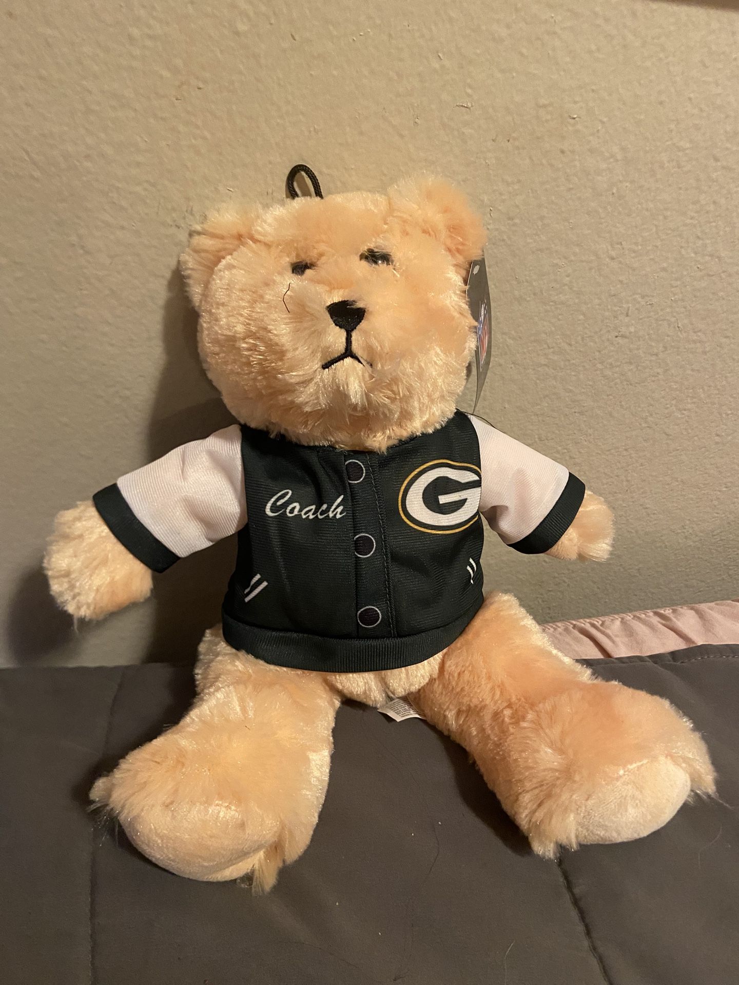 Packers Teddy Bear Plushie