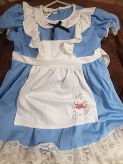 Alice in wonderland Costume