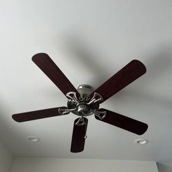 Ceiling Fan