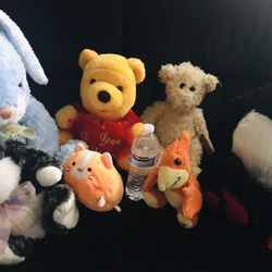 Assortment Of Plush Stuffed Animals 🧸 
