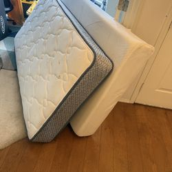 2 Twin Mattress (like New)