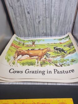 National Dairy council posters- lot of 9