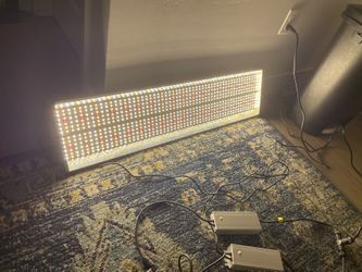 LED grow light MARS HYDRO TSL2000 300W 