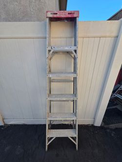6 Foot Werner Ladder