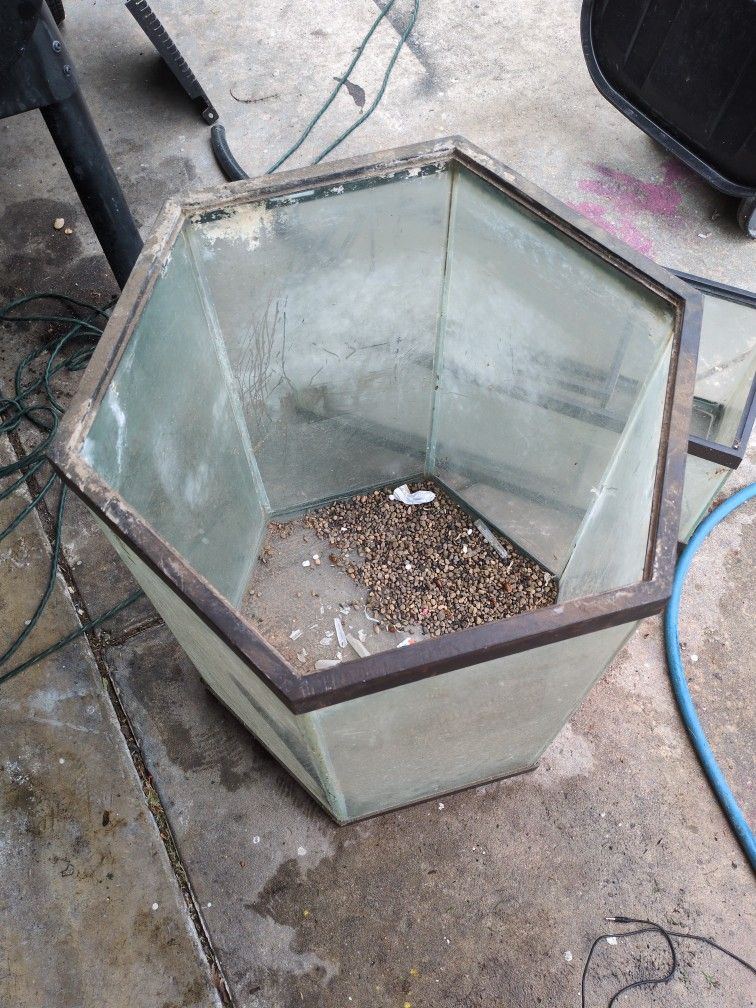 Hexagon 55 Gal Fish Tank