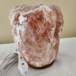 2 Himalayan Salt Nightlights $10