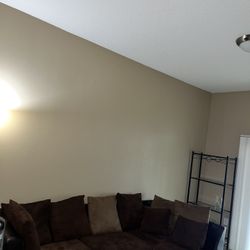 Couch with Chaise for Sale