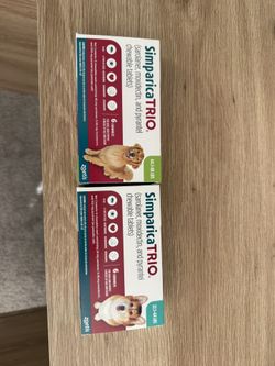Dog Flea & Tick