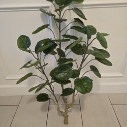 Artificial Plant