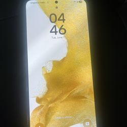 Samsung S22+