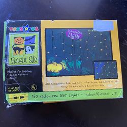 Vintage Fright Site Toys R Us Y2K Retro 4'x6' Indoor Outdoor Net Halloween Lights Window