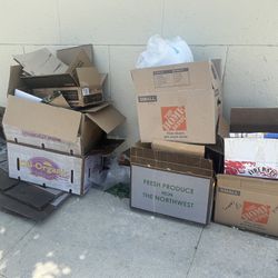 Free Moving Boxes- Echo Park