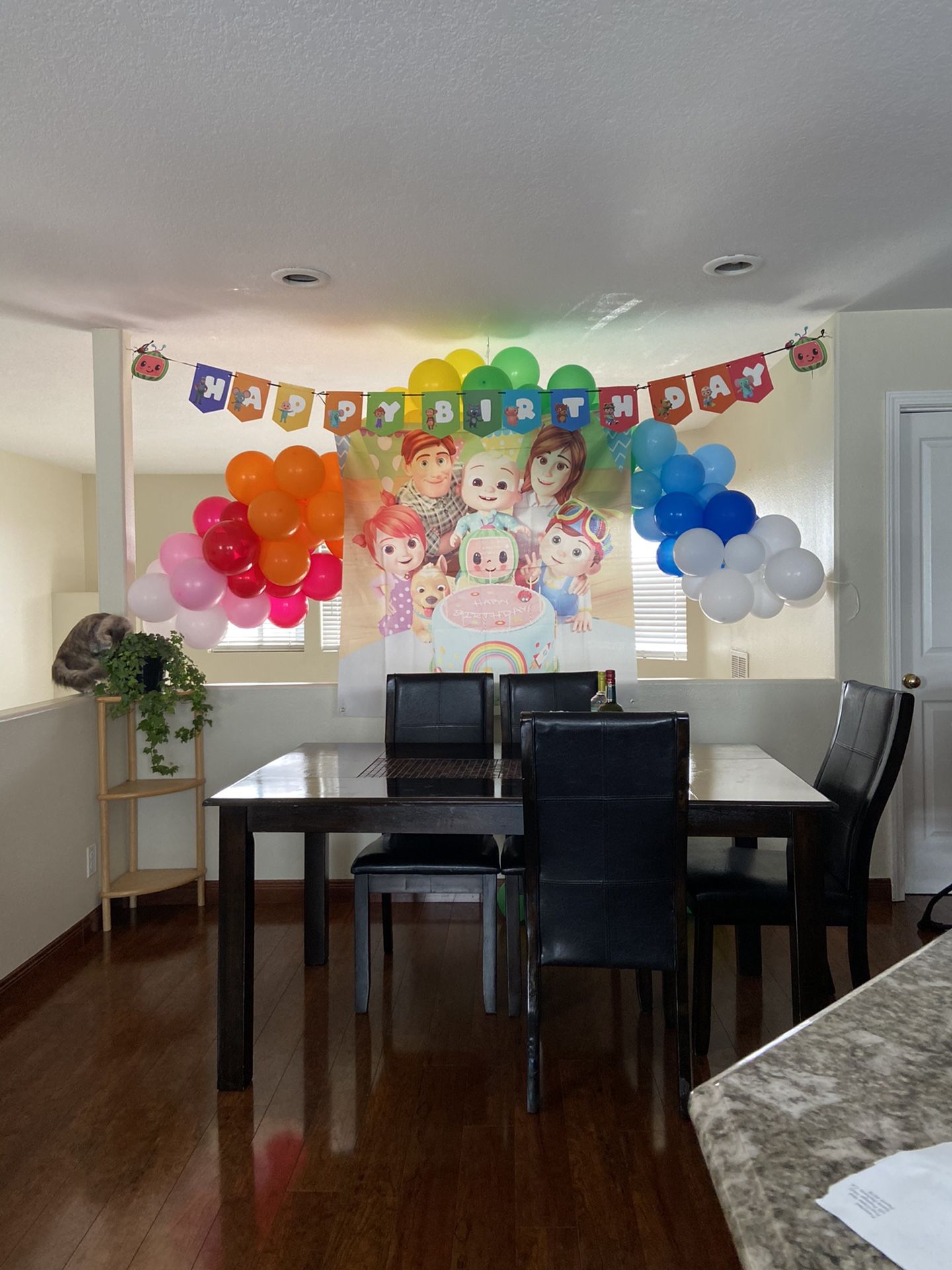 Cocomelon Decorations