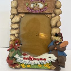 Disneyland 3D Splash Mountain Bear Rabbit Fox  Picture Frame