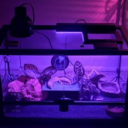 Ten Gallon Front Opening Reptile Tank