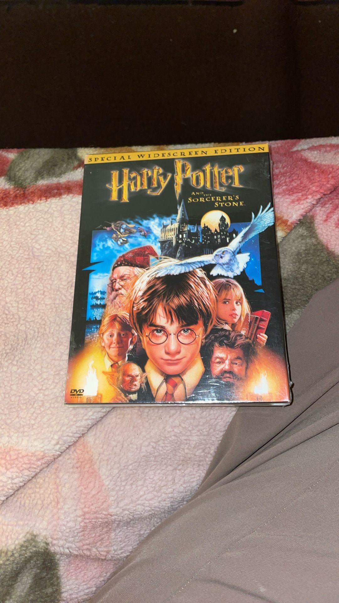 Harry Potter And The Sorcerer’s Stone (Special WideScreen Edition/2 Disc Set