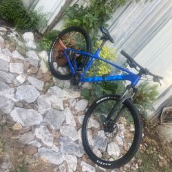 Trek Mtb