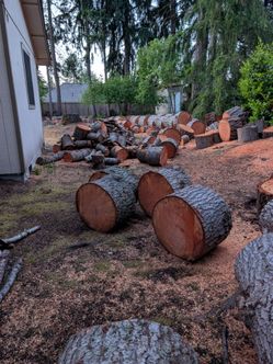 Wood Rounds for free - pending