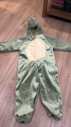 Child dinosaur costume