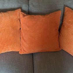 Couch Pillows 