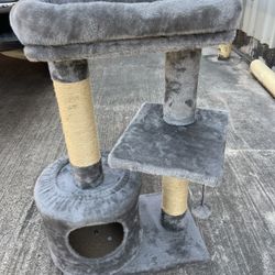 Cat Condo