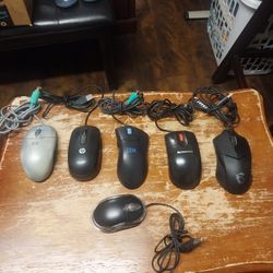 6   Computer   Mouse  🖱 