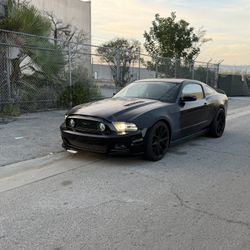 Mustang 2014 