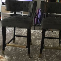 Two Posh Chic Velvet Bar Stools (Homegoods)-free