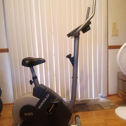 Bicicleta Estacionaria Weslo 