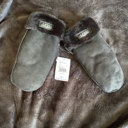 Ugg Gloves 