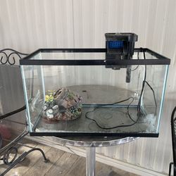 20 Gal Fish Tank