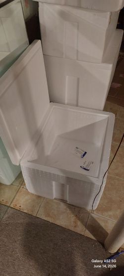FREE  large styrofoam coolers