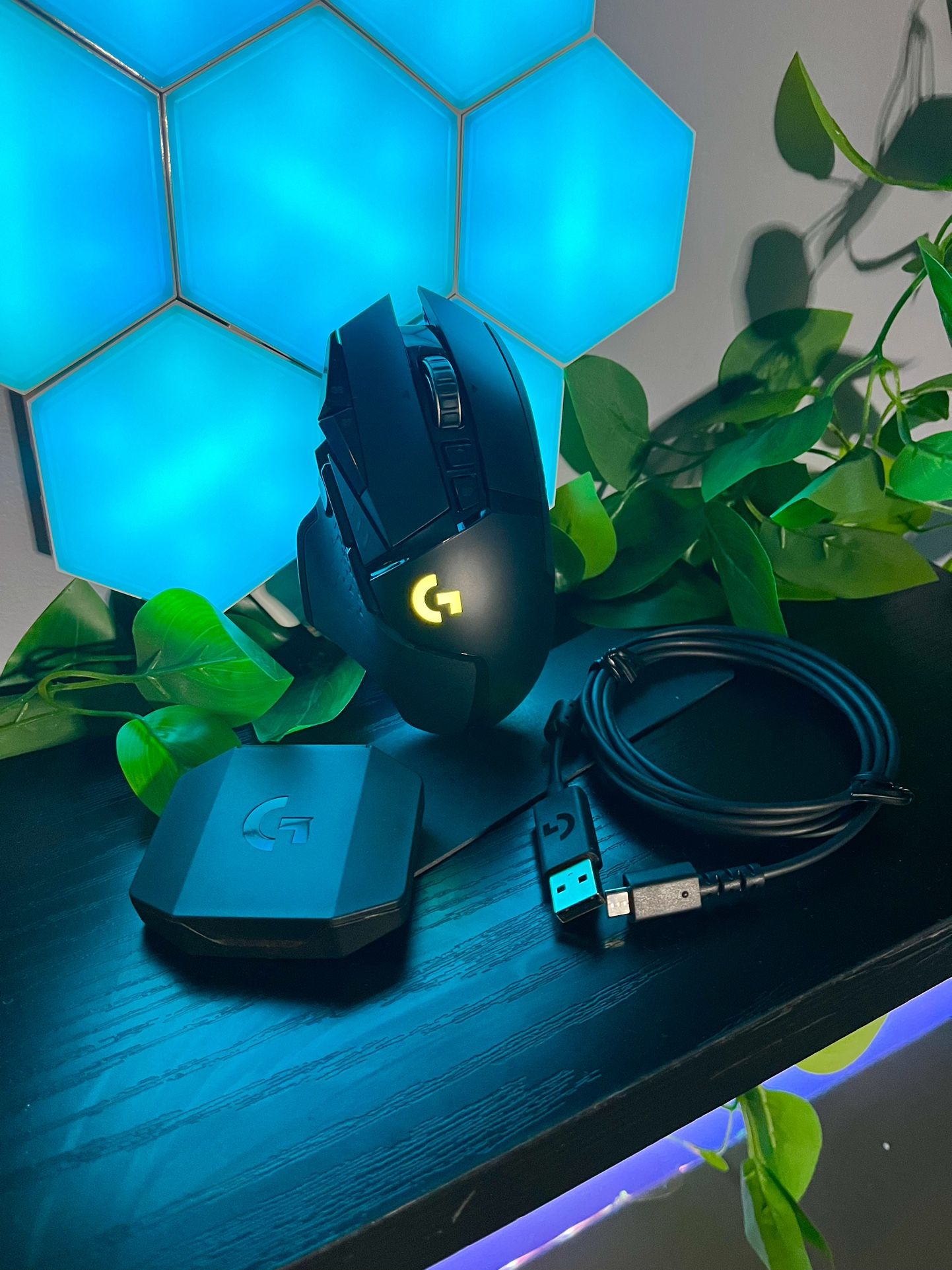Logitech G502 Lightspeed Gaming Mouse
