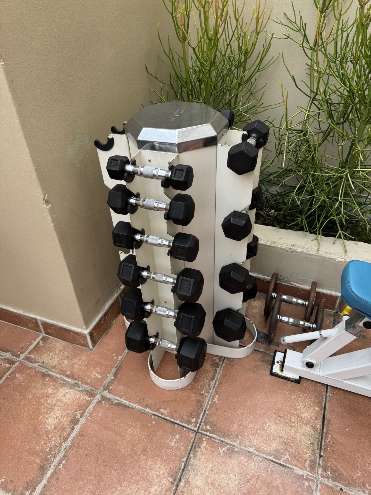 Weight Set And Bench