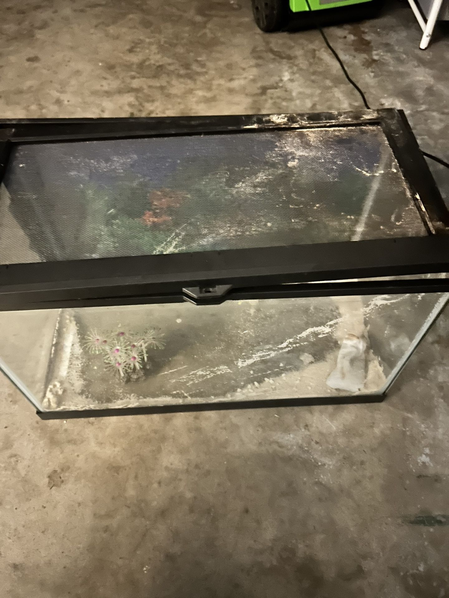 Reptile Tank/ Fish Tank