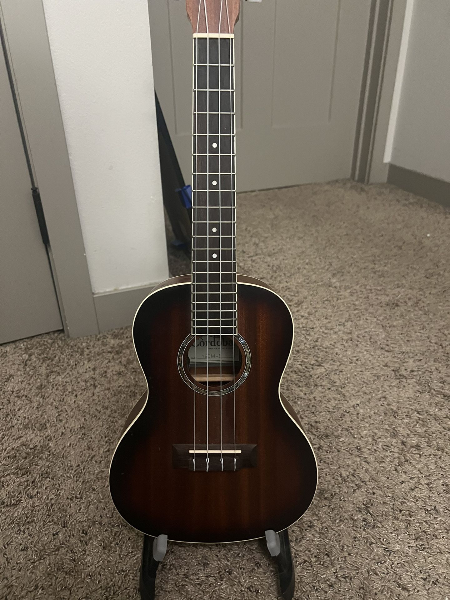 Cordoba 15CM-E Concert Ukulele w/ Pickup + Case – Great Condition!