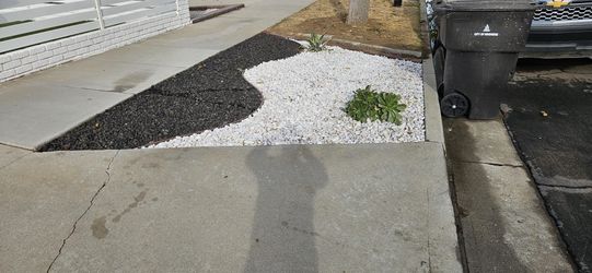 Landscape/remodel