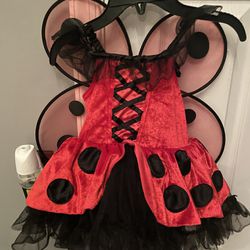 Toddler Ladybug Halloween Costume 
