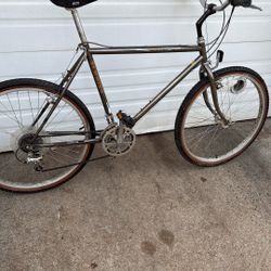 Schwinn Bicycle1986 Sierra