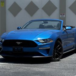 2019 Ford Mustang Ecoboost