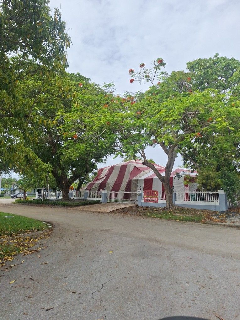 Termite Tent
