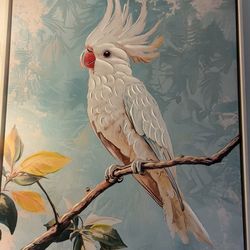 New Condition Parrot Pic.. Paid $120.. Sell $65