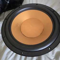 Klipsh 12" woofer. It rattles.