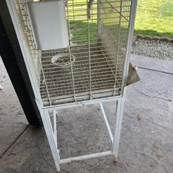 Bird Cage 